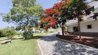 Rustic Finca in El Romeral-Santa Amalia photo 35