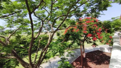 Rustic Finca in El Romeral-Santa Amalia photo 40