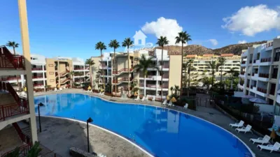 Piso en alquiler en Calle El Palmmar, Palm-Mar (Arona) de 1.500 €<span>/mes</span>