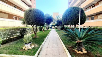 Apartment in Punta Prima photo 20