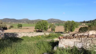 Rustic finca in Felanitx photo 15