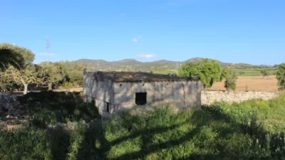 Rustic finca in Felanitx photo 4