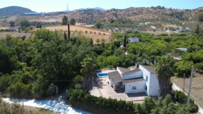 Rustic Finca in Coín photo 2