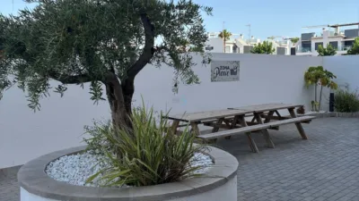 Apartment in Pilar de La Horadada photo 36