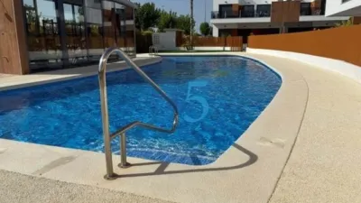 Apartment in Pilar de La Horadada photo 38