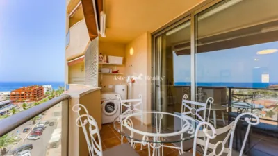 Apartment on Quetzal Street, No. 1 photo 4