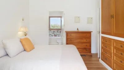 Rustic Finca in Centro photo 17