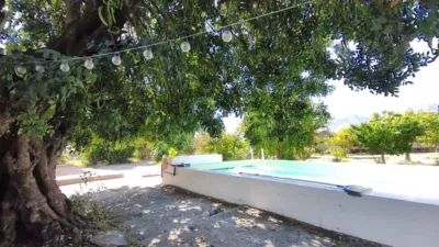 Rustic Finca in Centro photo 22