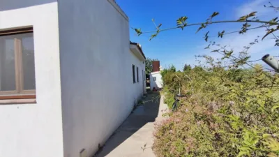 Rustic Finca in Centro photo 29