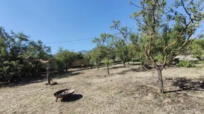 Rustic Finca in Centro photo 31