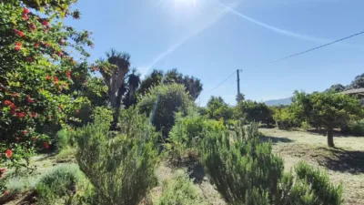 Rustic Finca in Centro photo 32