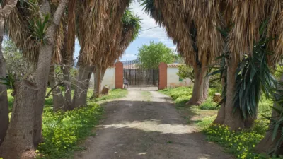 Rustic Finca in Centro photo 33