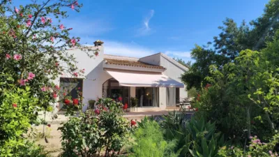 Rustic Finca in Centro photo 35