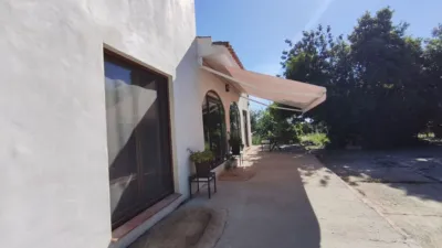 Rustic Finca in Centro photo 3