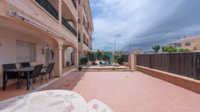 Apartment in Playa Flamenca photo 19