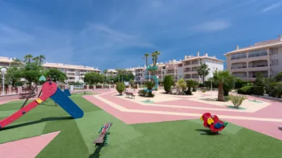 Apartment in Playa Flamenca photo 29