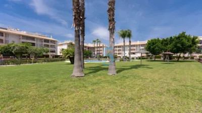 Apartment in Playa Flamenca photo 31