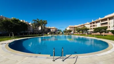 Apartment in Playa Flamenca photo 33