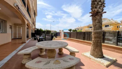 Apartment in Playa Flamenca photo 34