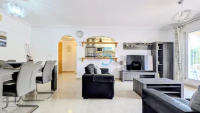 Apartment in Playa Flamenca photo 3