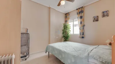 Apartment in Almoradi photo 12