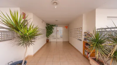 Apartment in Almoradi photo 4