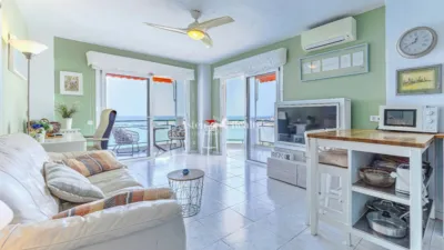 Apartment on Avenida Juan Carlos I, 30 photo 2