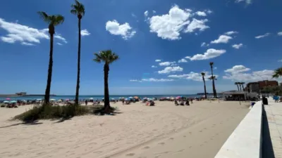 Apartment in Torrevieja photo 22