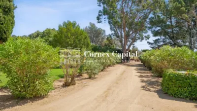 Rustic Finca in Camí de Vall-Llobrega photo 20
