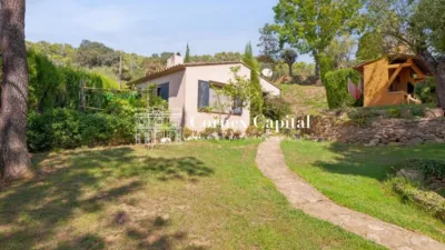 Rustic Finca in Camí de Vall-Llobrega photo 23