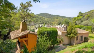 Rustic Finca in Camí de Vall-Llobrega photo 26