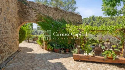 Rustic Finca in Camí de Vall-Llobrega photo 3