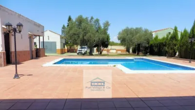Chalet in La Carlota photo 16