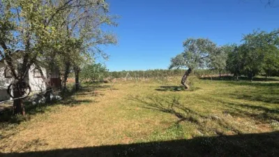 Chalet en Carmona photo 8