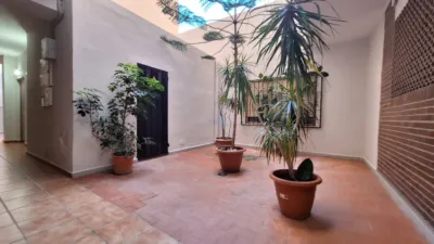Apartment in Torrevieja photo 21