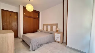 Apartment in Torrevieja photo 9