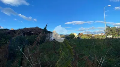 House in Rabo de Galo photo 12