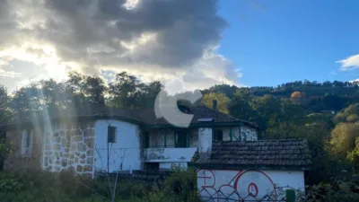 House in Rabo de Galo photo 2