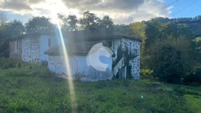 House in Rabo de Galo photo 3