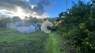 House in Rabo de Galo photo 4