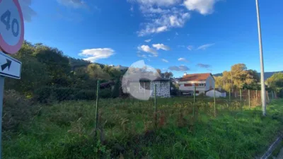 House in Rabo de Galo photo 6