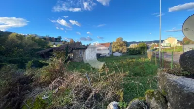 House in Rabo de Galo photo 7