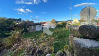 House in Rabo de Galo photo 8