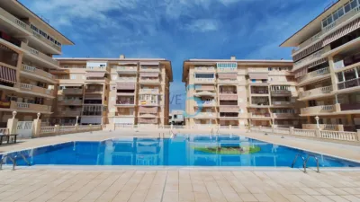 Pis – Torrevieja - Vista 2