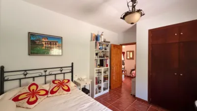 Rustic Finca in Centro photo 15