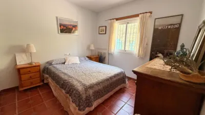 Rustic Finca in Centro photo 17