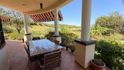 Rustic Finca in Centro photo 20