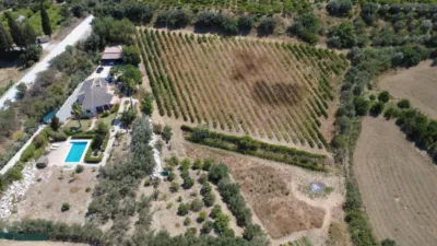 Rustic Finca in Centro photo 21