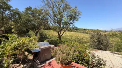 Rustic Finca in Centro photo 22