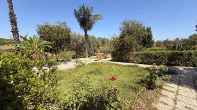 Rustic Finca in Centro photo 23